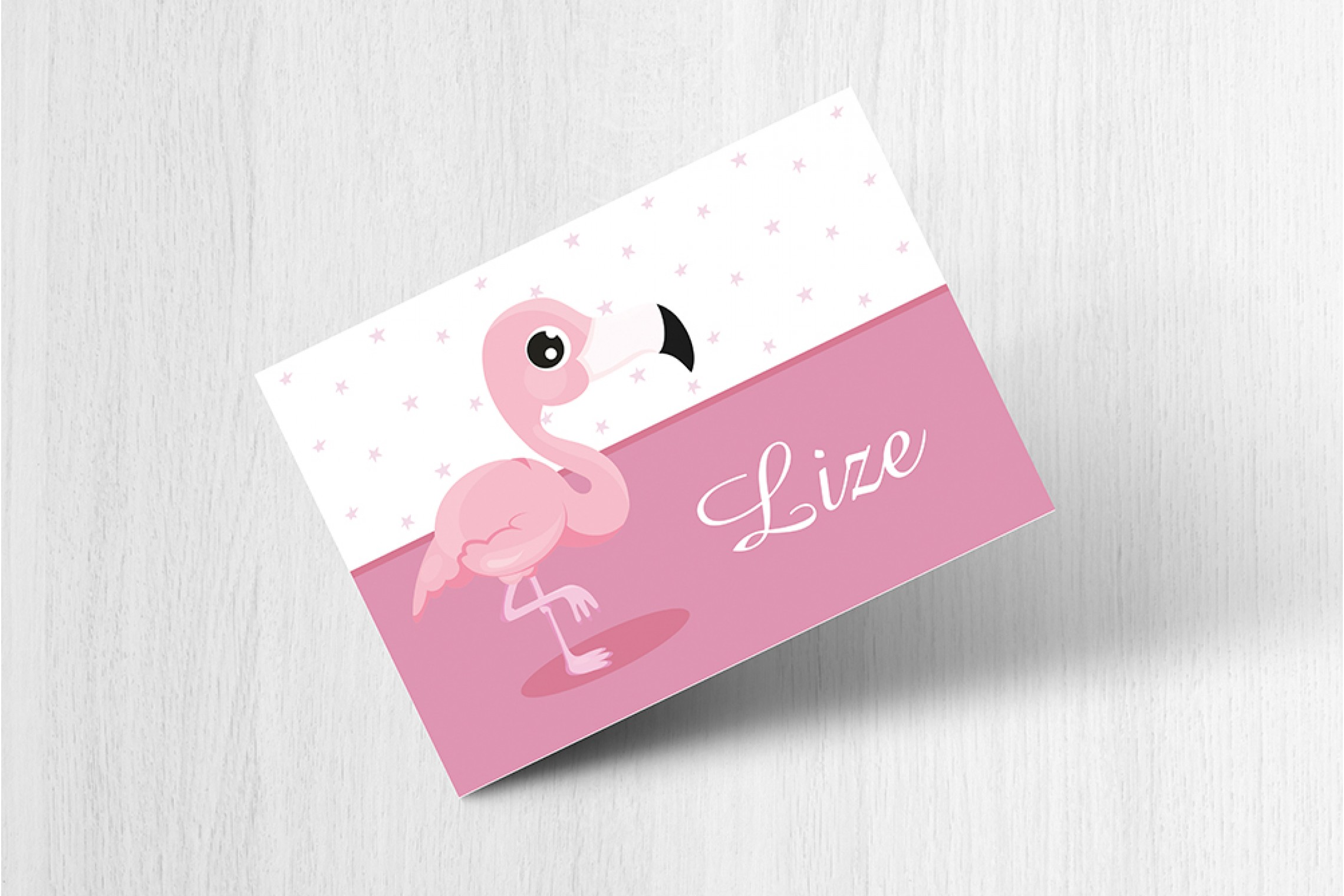 Baby flamingo
